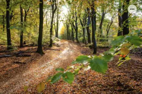 Park Konijnenburg Villa Путен Екстериор снимка